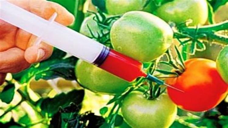 Ξεκίνησε η Δημόσια Διαβούλευση του Νομοσχεδίου για τα Γενετικά Τροποποιημένα Τρόφιμα