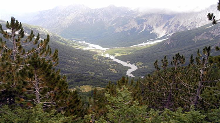 Δεκαετή Απαγόρευση της Εκμετάλλευσης των Δασών Αποφάσισε η Αλβανία