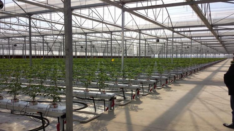 Πρωτότυπα Γεωθερμικά Θερμοκήπια με Έλεγχο της Απόδοσης της Παραγωγής μέσω Η/Υ και Smartphones