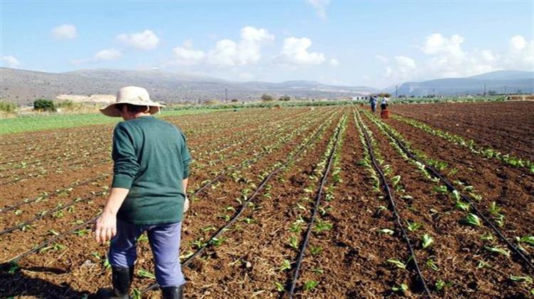 Έκθεση Θέτει Υπό Αμφισβήτηση την «Πράσινη» Κοινή Αγροτική Πολιτική της Κομισιόν