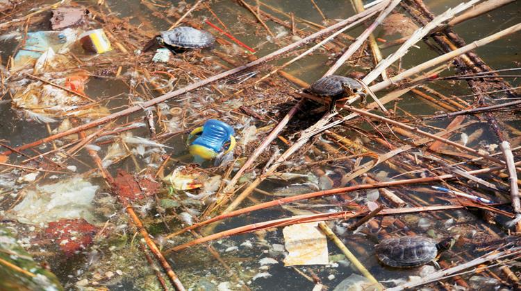 Στο Έλεος της Εγκατάλειψης το Πάρκο Τρίτση