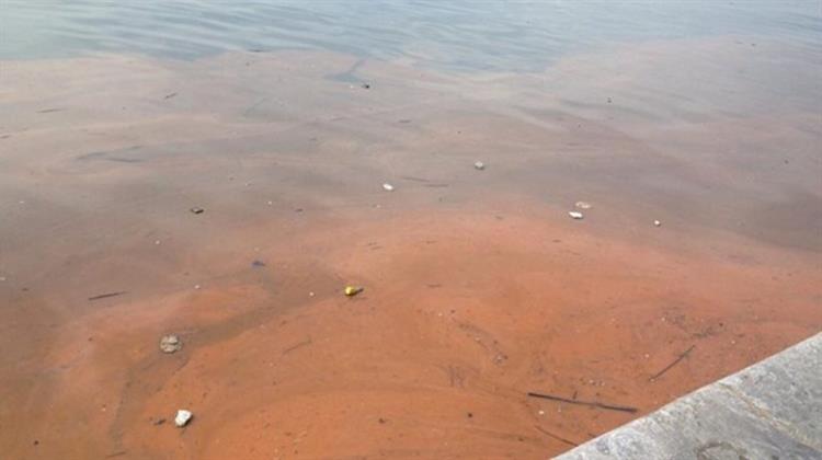 Κόκκινα «Βάφτηκαν» τα Νερά του Θερμαϊκού