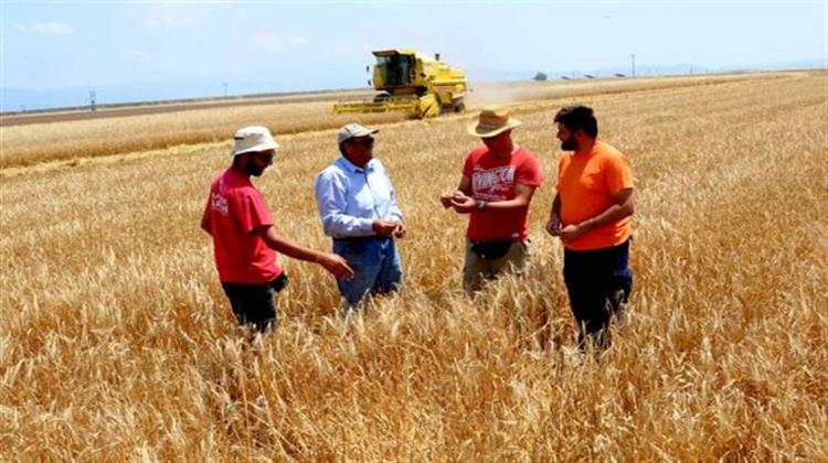 Μετά τους Συμψηφισμούς οι Επιστροφές ΕΦΚ Πετρελαίου σε Αγρότες