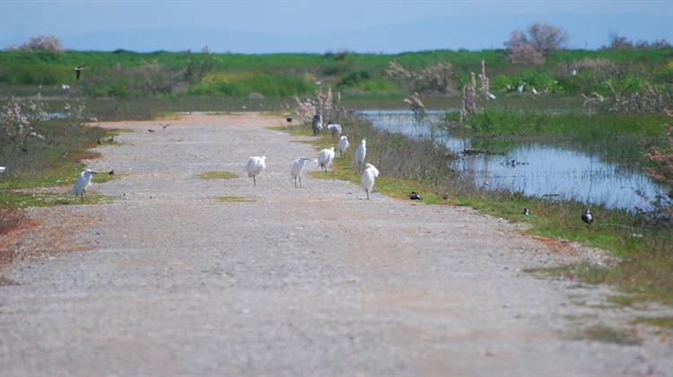H Ε.Ε. Πιέζει για την Προστασία Υγρότοπου στον Κορινό