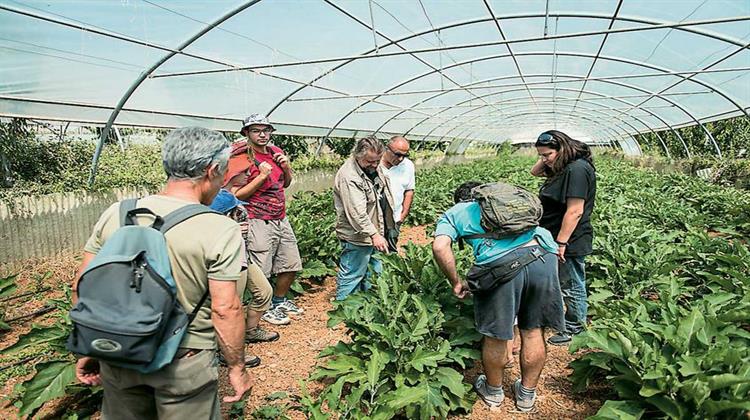 Το Κρυφό... Οικοσχολείο των Αφιδνών