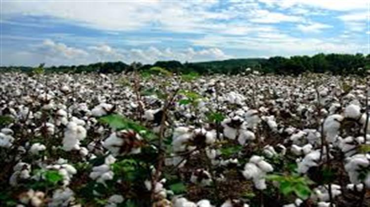 Υπουργείο Οικονομίας: Πρωτοβουλία για τη Δικτύωση Eπιχειρήσεων στο Bαμβάκι