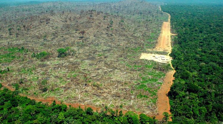 Σε Κίνδυνο η Βιοποικιλότητα του Αμαζονίου