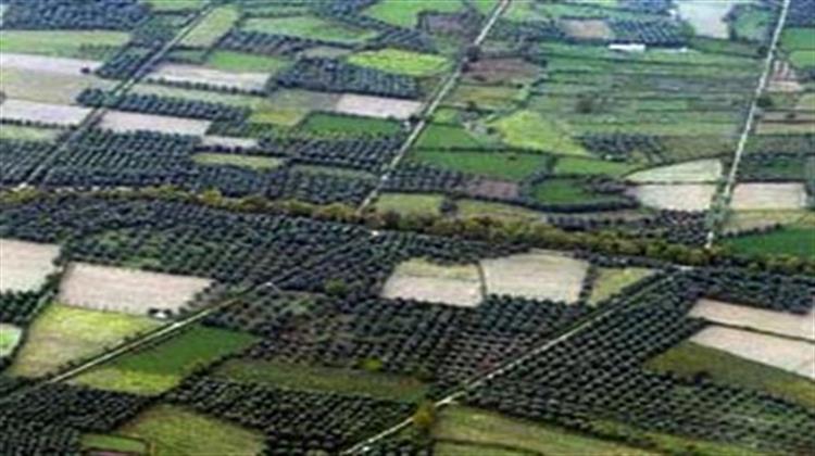 Απεσύρθη Μετά τις Αντιδράσεις η Διάταξη για την Απαγόρευση Δόμησης σε Εκτός Σχεδίου Οικόπεδα Κάτω των 4 Στρεμμάτων