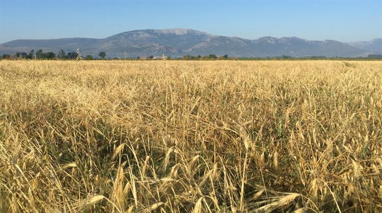 Σοκ ή Δέος; 100 Νέες Περιοχές στο Natura!!