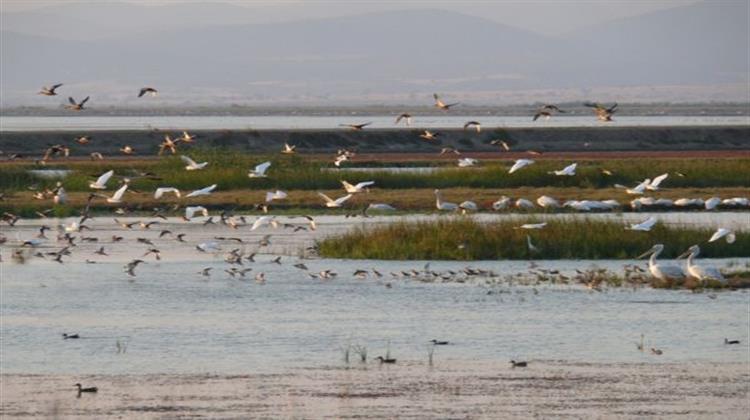 Αρνητικός ο Δήμος Αλεξανδρούπολης σε Ενδεχόμενη Ένταξης του Δέλτα Έβρου στο Natura 2000