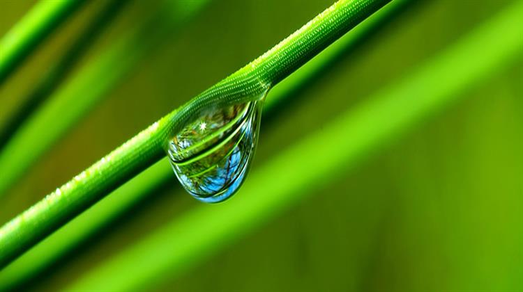 Η ΕΕ Αποφασίζει Ενάντια στην Αποδυνάμωση των Οδηγιών για την Προστασία του Περιβάλλοντος