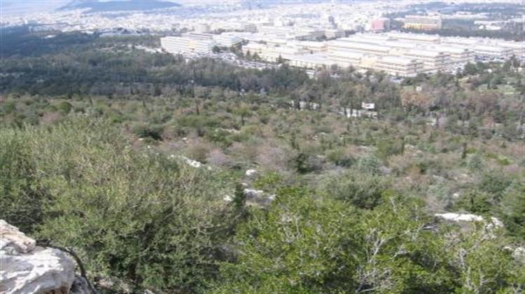 ΥΠΕΝ: Συγκρότηση Συμβουλίου Ιδιοκτησίας &#8710;ασών με Έδρα την Αθήνα για τα Έτη 2017 – 2018