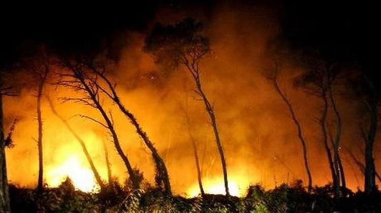 Δέκα Χρόνια από την Καταστροφική Πυρκαγιά της Πάρνηθας