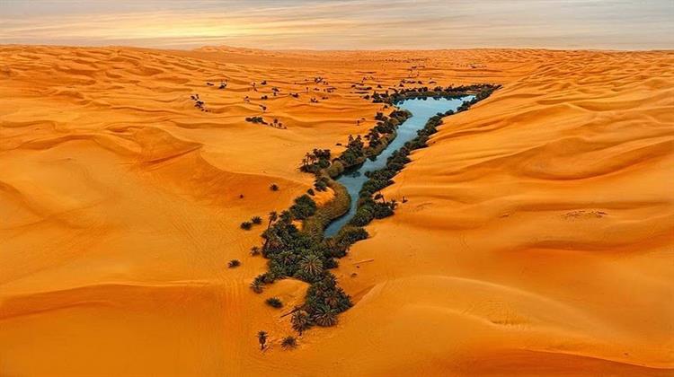 Mποστάνια στη Σαχάρα
