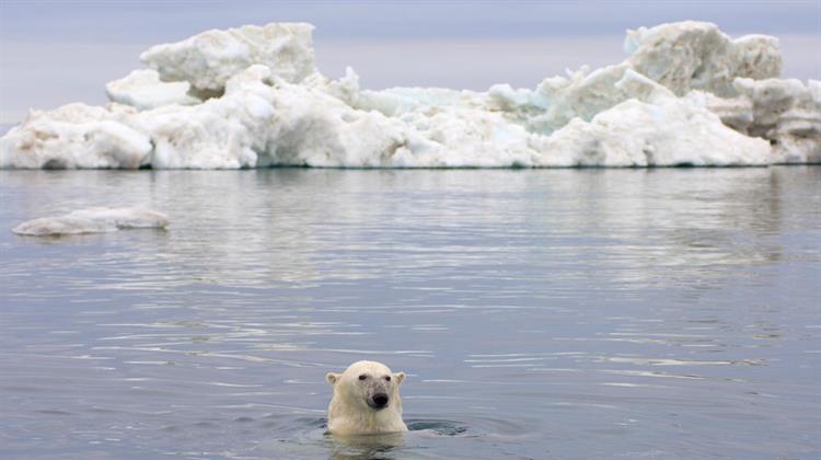Αυξάνονται οι Αρκτικές Θερμοκρασίες Αλλά Δεν Έχουν Χτυπήσει Ρεκόρ