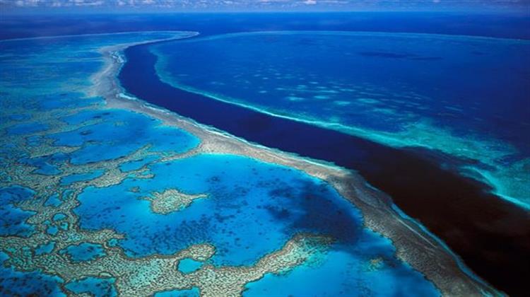 Δεν Επουλώνονται τα «Τραύματα» από την Κλιματική Αλλαγή στον Μεγάλο Κοραλλιογενή Υφαλο