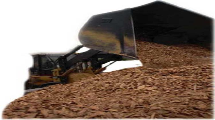 Austria’s Egger has Completed a 83MW Romanian Biomass Plant