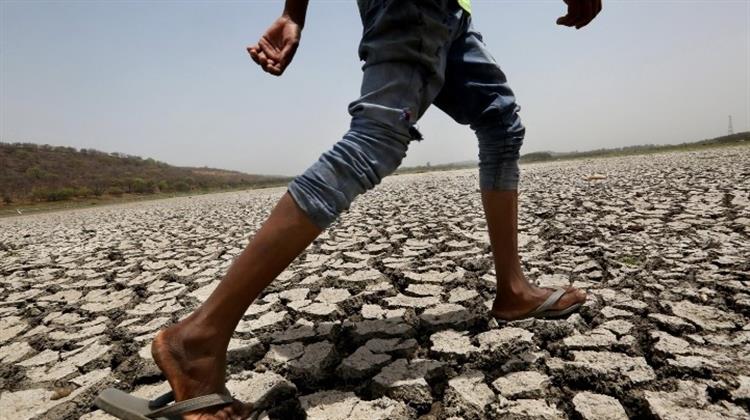 Οι Άνθρωποι Δεν Ξεπερνούν το 0,01% της Βιομάζας του Πλανήτη