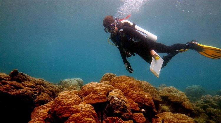 Ωκεανός Οξέος στο Συνεδριακό Κέντρο Τράπεζας Πειραιώς