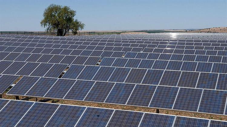 Solar Comprises 60% of Turkeys Renewables Employment