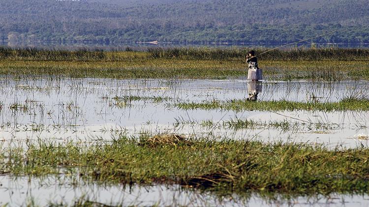 Εχει Εξαφανιστεί το 48% των Υγροτόπων της Μεσογείου