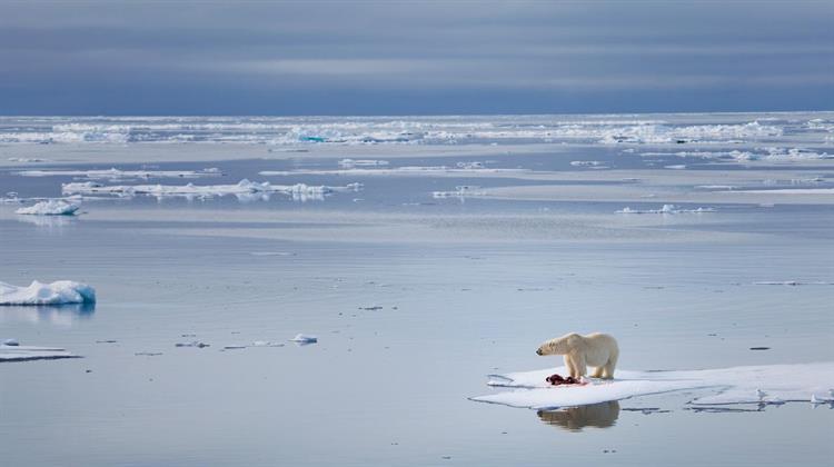 Εξαπλάσιο Ογκο Πάγων Χάνει Σήμερα η Ανταρκτική σε Σύγκριση με το 1979