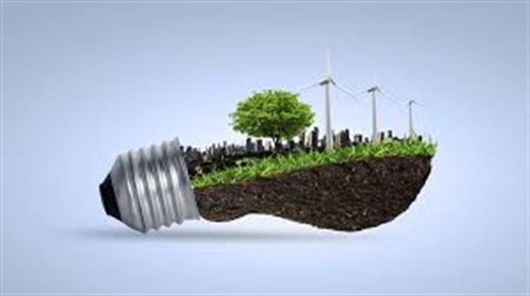 Business and Biodiversity