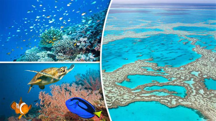 Η Αυστραλία θα Πετάξει 1.000.000 Τόνους Υγρών Αποβλήτων στον Προστατευόμενο Μεγάλο Κοραλλιογενή Yφαλο