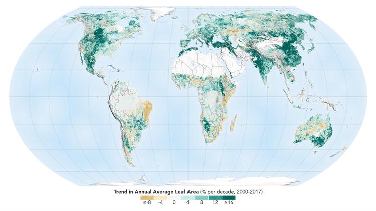 Ο Πλανήτης Έχει Περισσότερα Δέντρα από ό,τι Πριν Δύο Δεκαετίες, Χάρη στην Κίνα και την Ινδία