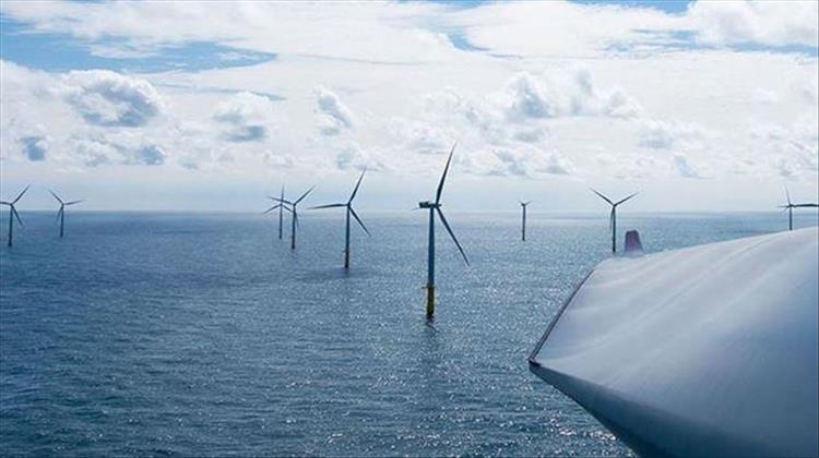 Eneco, Shell, Van Oord Bid for Dutch Offshore Wind Farms