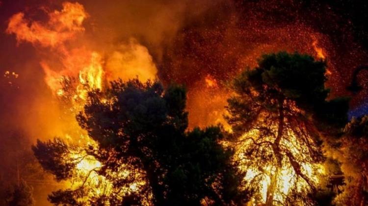 Οι Ερευνητές του Αστεροσκοπείου για τις Πυρκαγιές: Ο Ρόλος των Καιρικών Συνθηκών, η Καύσιμη Ύλη και η Πρόγνωση της Εξάπλωσης