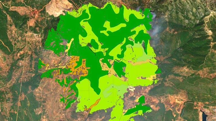 CopernicusEMS: Τι Κάηκε στην Εύβοια