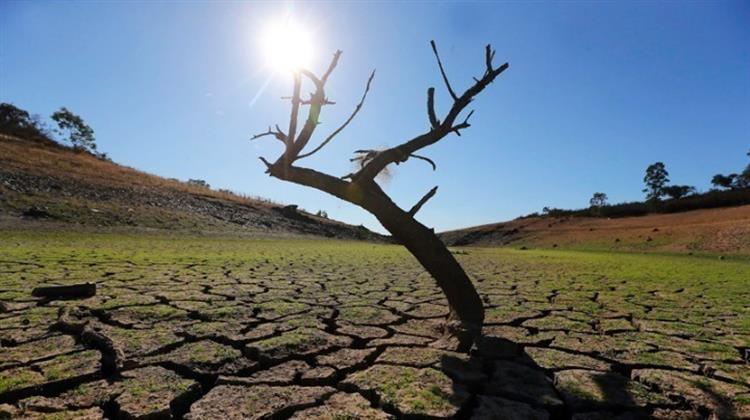 Σήμα Κινδύνου Εκπέμπει ο Αγροδιατροφικός Κλάδος Λόγω Κλιματικής Αλλαγής