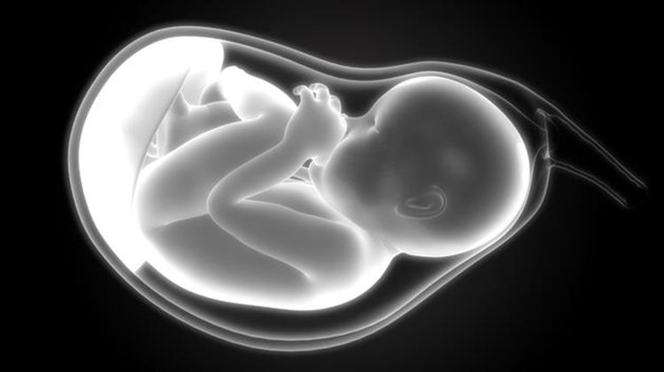 Έρευνα Έδειξε ότι οι Ρύποι της Ατμόσφαιρας Φθάνουν Μέχρι το Έμβρυο