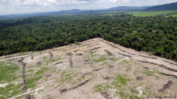 Το Οργανωμένο Έγκλημα και η Κρατική Αδιαφορία Αποψιλώνουν τον Αμαζόνιο