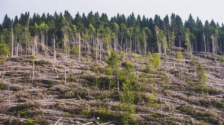 WWF: Η Εξόρυξη Υδρογονανθράκων «Μελανό» Σημείο της Εθνικής Περιβαλλοντικής Πολιτικής και το 2019