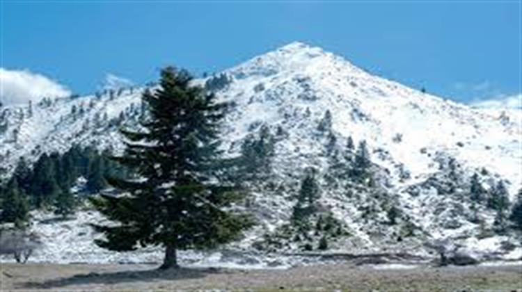 11 Δεκεμβρίου: Παγκόσμια Ημέρα Βουνού