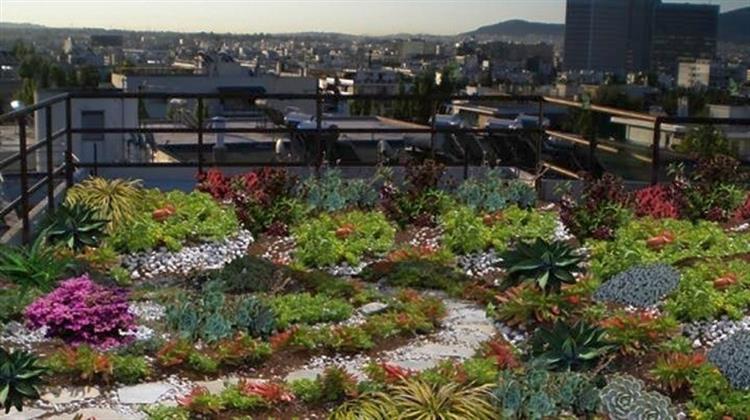 Θεσσαλονίκη: Μειωμένα Τελη για Δημότες που θα Δημιουργήσουν Κάθετους Κήπους