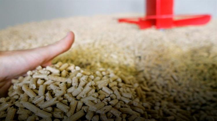 Setting the Right Course for Sustainable Biomass in Europe