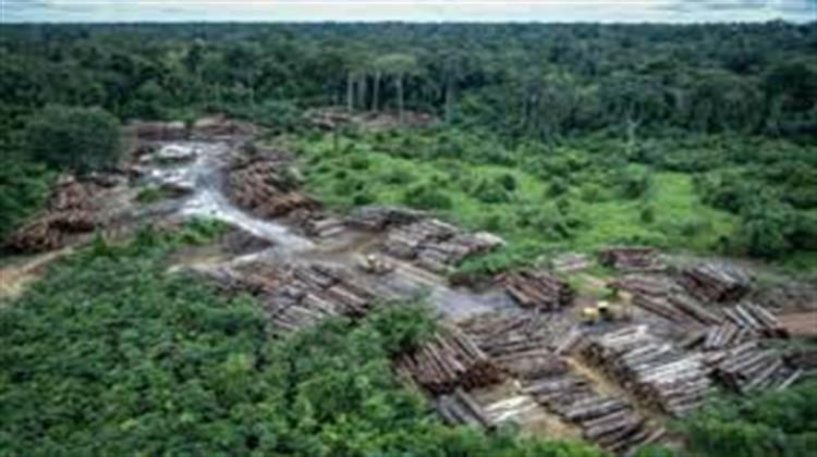 Επιταχύνεται με Ρυθμούς-Ρεκόρ η Καταστροφή του Τροπικού Δάσους της Αμαζονίας
