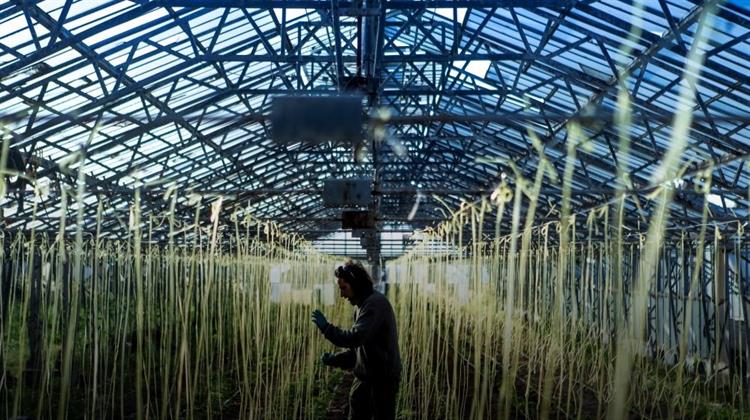 Organic Farming and Climate Change
