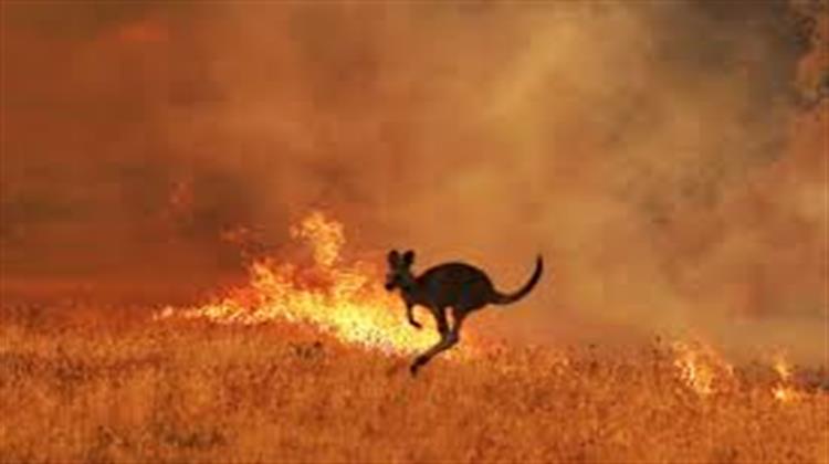 Τρία Δισεκατ. Ζώα Κάηκαν ή Εκτοπίστηκαν στις Φονικές Πυρκαγιές της Αυστραλίας