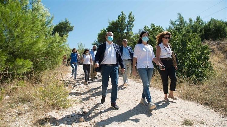 Χατζηδάκης: Η Πεντέλη Είναι Ένα Τραυματισμένο Βουνό Από την Αδιαφορία και τη Βιαιότητα των Ανθρώπων