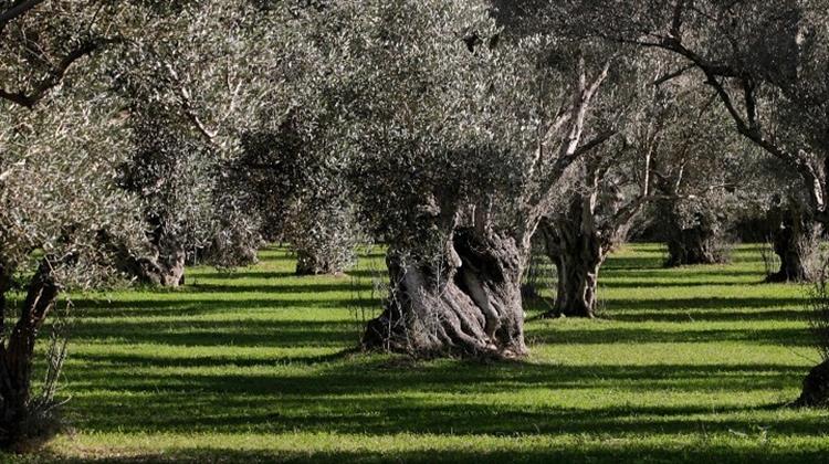 Θεσσαλονίκη: Ισχυρό Όπλο για την Αντιμετώπιση των Συνεπειών της Κλιματικής Αλλαγής η Αξιοποίηση Εγχώριων Ποικιλιών