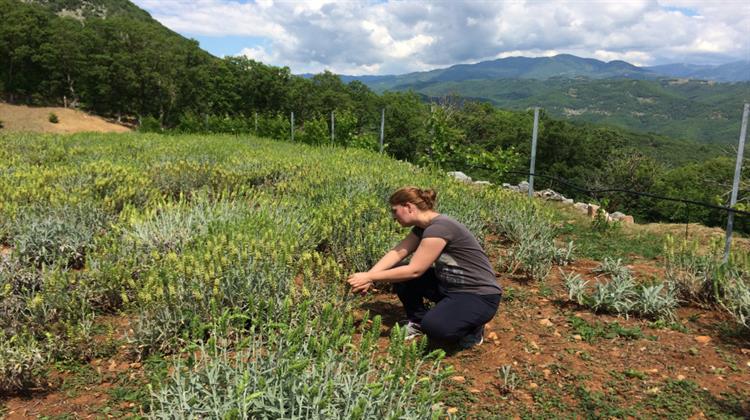 TAP’s THRIVING LAND Project Concludes, Its Legacy Continues