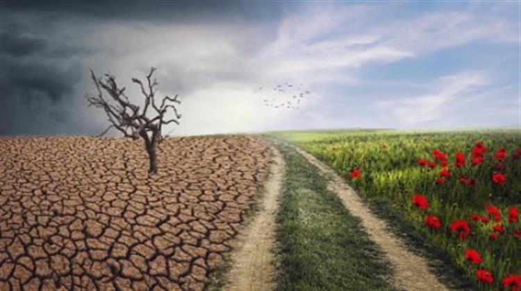 ΟΗΕ-Δημοσκόπηση: Τα 2/3 των Ερωτηθέντων Ανά τον Κόσμο Βλέπουν μια Επείγουσα Κατάσταση για το Κλίμα