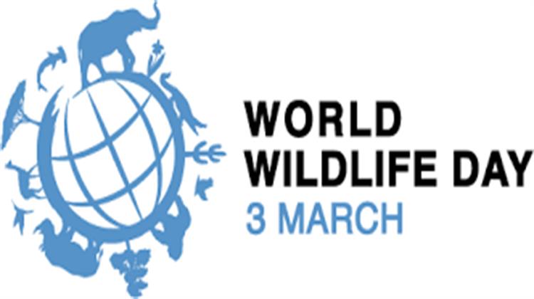 3 Μαρτίου: Παγκόσμια Ημέρα Άγριας Ζωής (Infographics)
