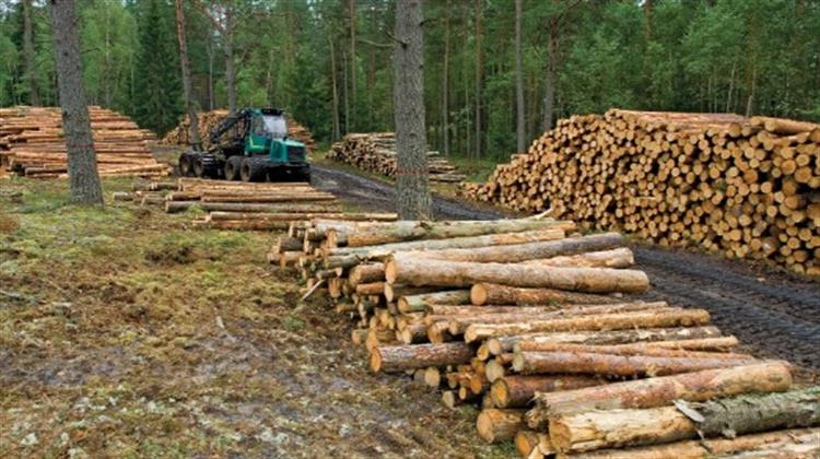 WWF: Η Αποψίλωση των Δασών Συνδέεται με τις Εισαγωγές-Η ΕΕ Δεύτερη Παγκοσμίως Μετά την Κίνα