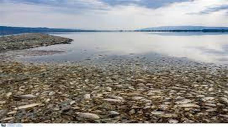 Λίμνη Κορώνεια: Κινδυνεύει Από την Μόλυνση και την Υπεράρδευση