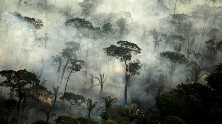 Το Δάσος του Αμαζονίου Ρυπαίνει την Ατμόσφαιρα με CO2